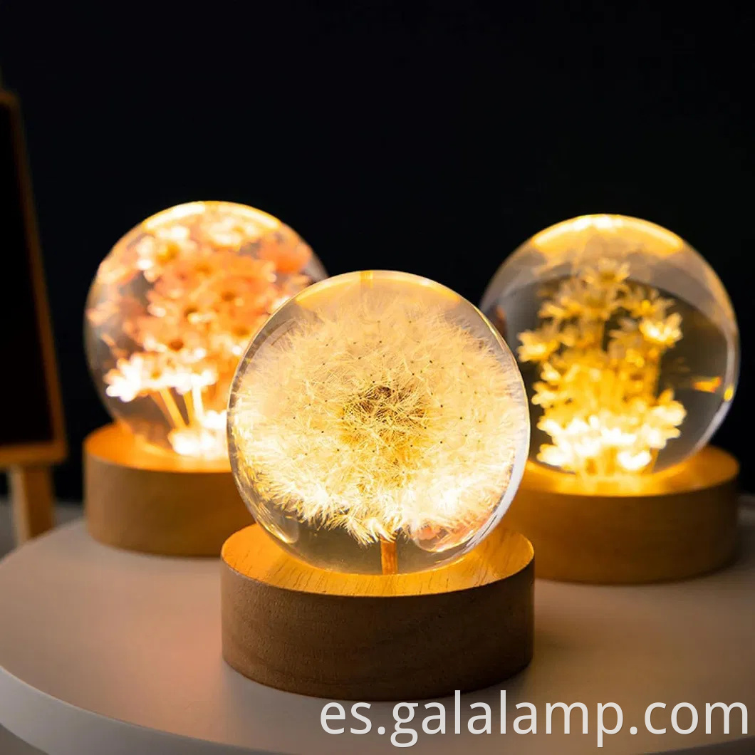 Luz eterna de la noche de flores, el regalo que nunca se marchita